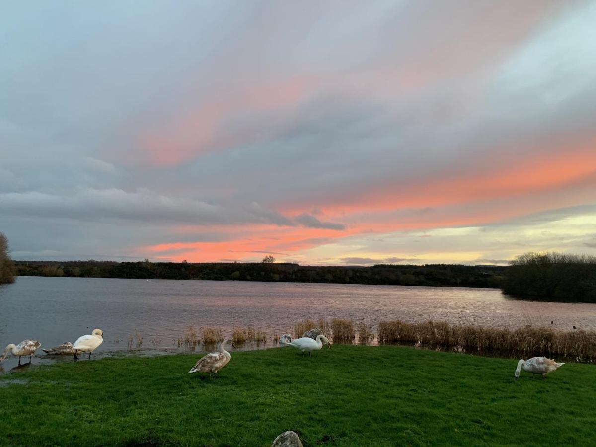 Lochside Loft - Self Catering Apartment For 2 In A Great Location For Inverness Airport And Both Cabot Highlands & Nairn Golf Courses Exteriör bild